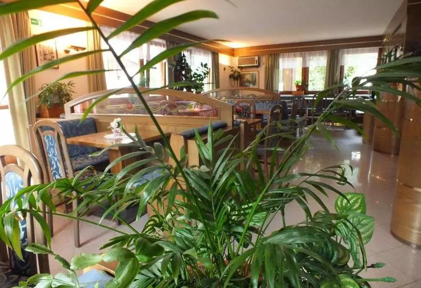 Отель Orso Grigio