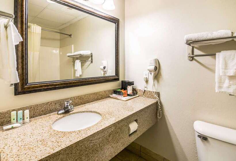 호텔 Quality Inn Alexander City