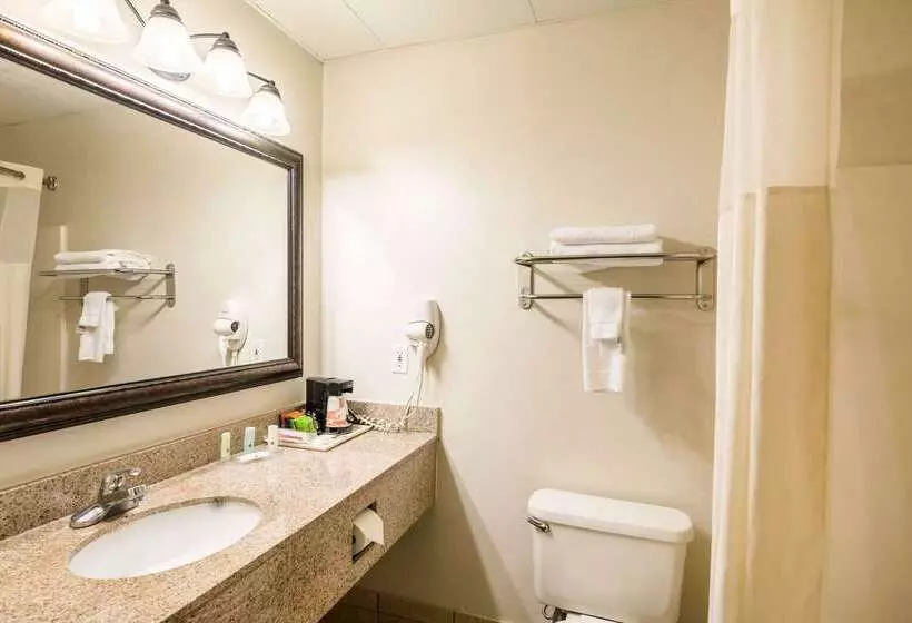 酒店 Quality Inn Alexander City