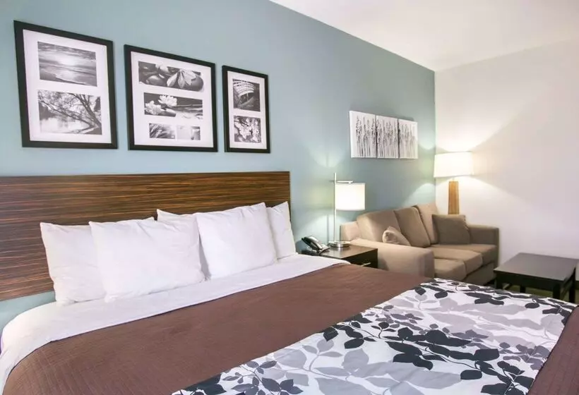 ホテル Sleep Inn & Suites Austin North  I35