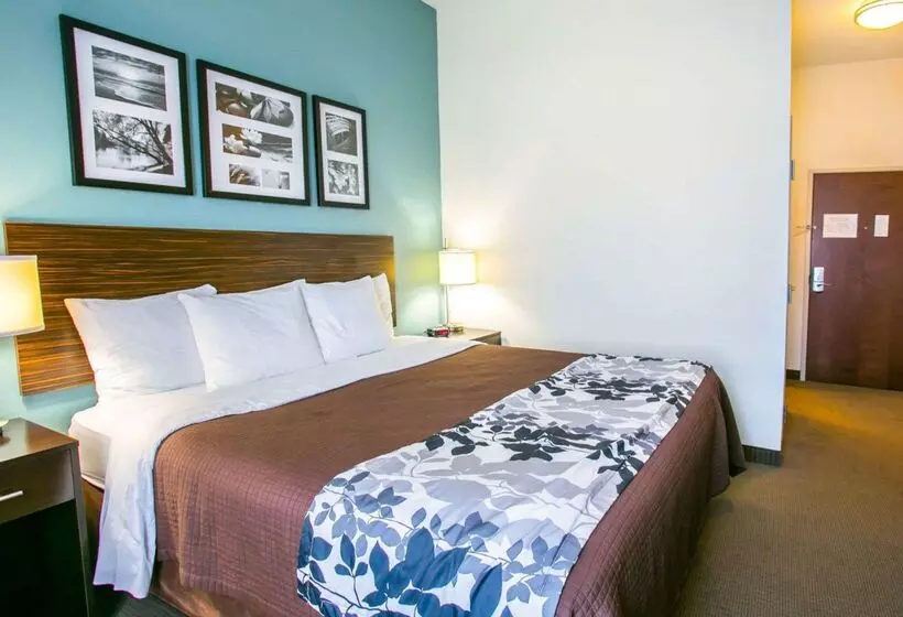 ホテル Sleep Inn & Suites Austin North  I35