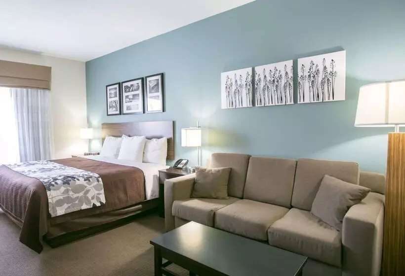 ホテル Sleep Inn & Suites Austin North  I35