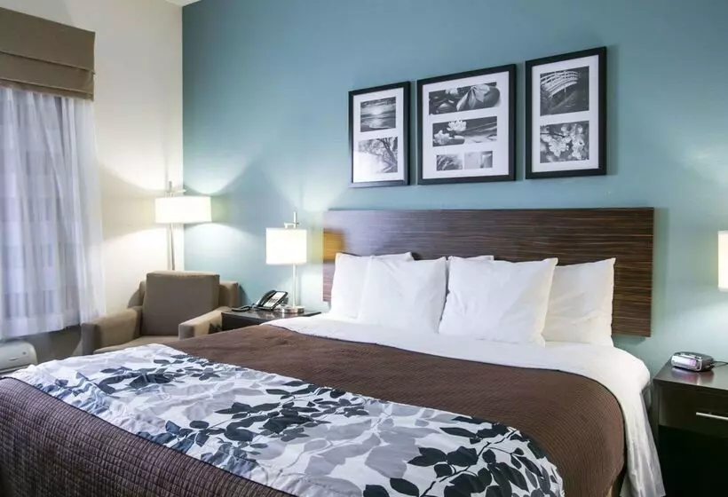 ホテル Sleep Inn & Suites Austin North  I35