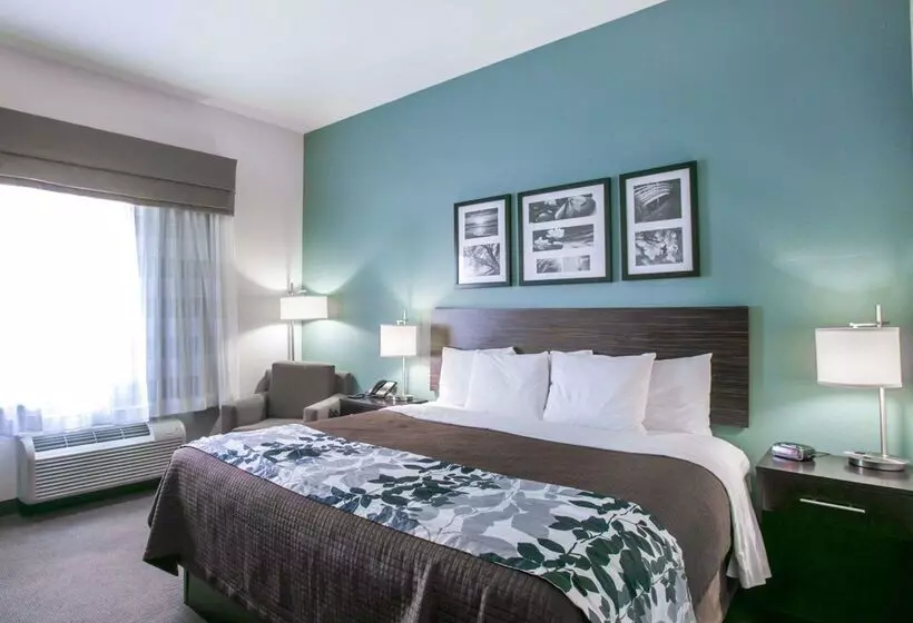 ホテル Sleep Inn & Suites Austin North  I35