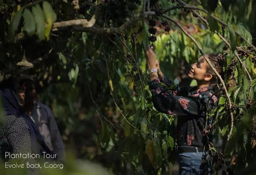 リゾートホテル Evolve Back Coorg