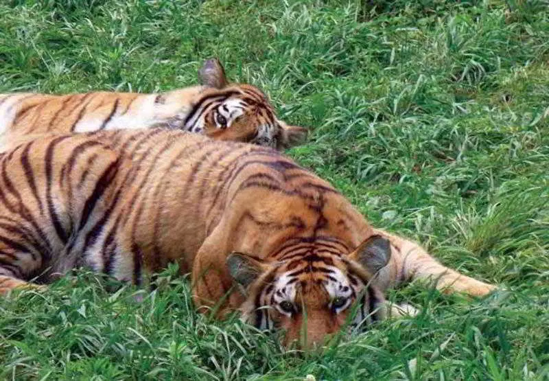 Fairfield By Marriott Peoria East