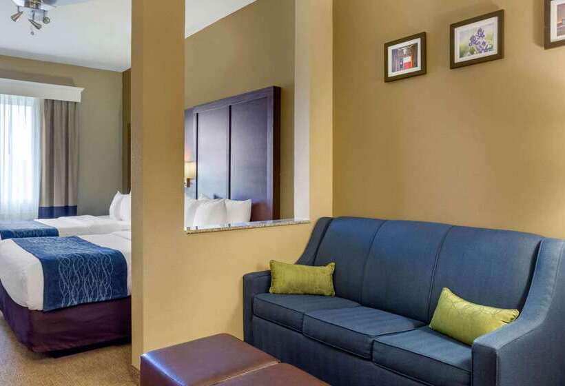 酒店 Comfort Inn & Suites