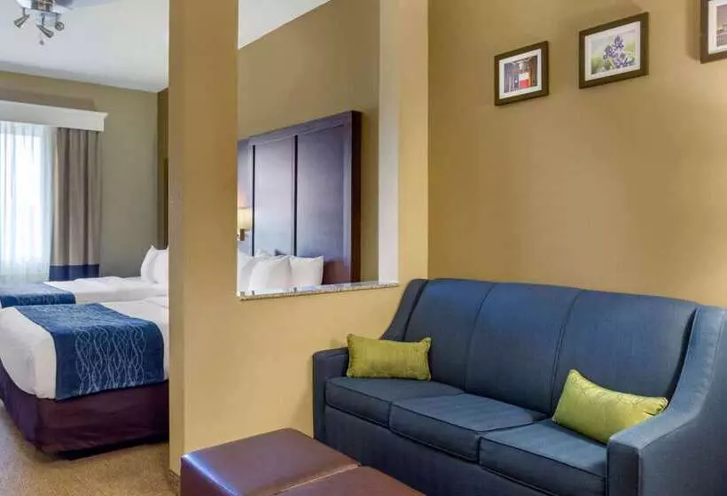 酒店 Comfort Inn & Suites