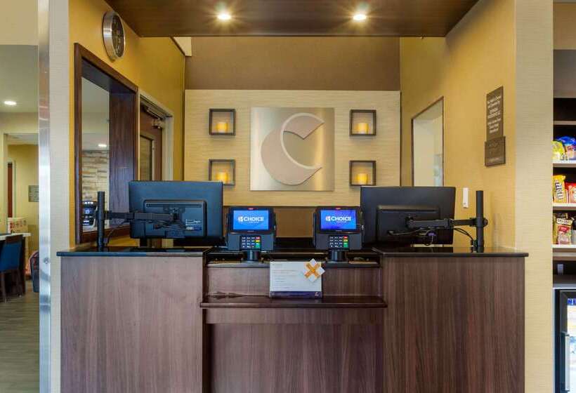 酒店 Comfort Inn & Suites