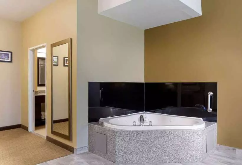 酒店 Comfort Inn & Suites