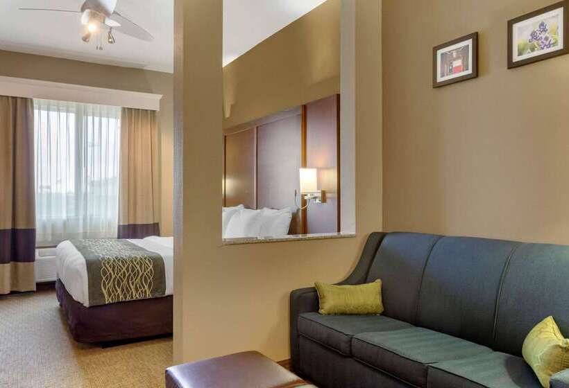 酒店 Comfort Inn & Suites