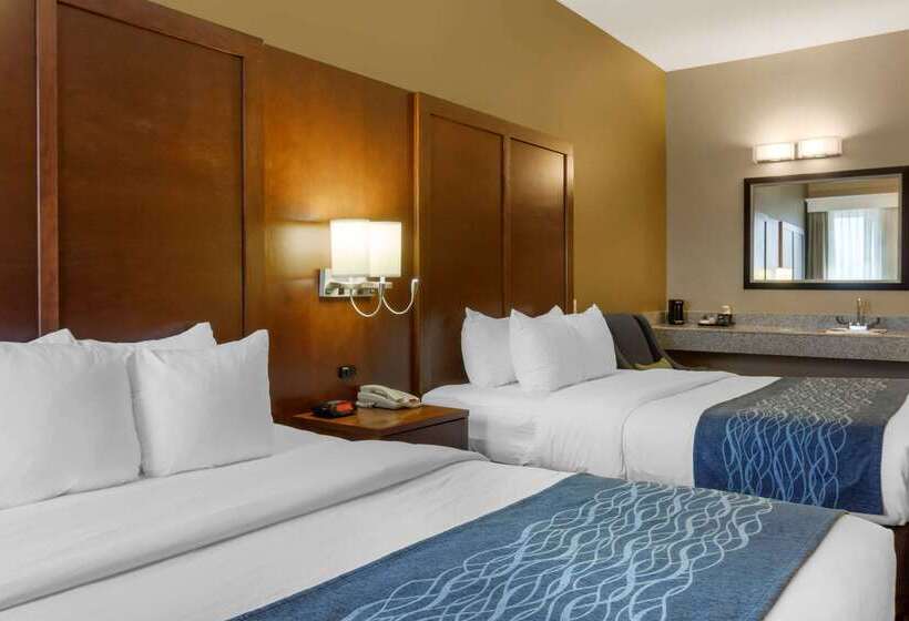 酒店 Comfort Inn & Suites
