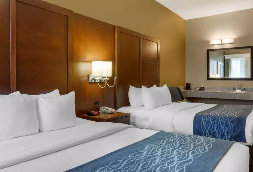 酒店 Comfort Inn & Suites