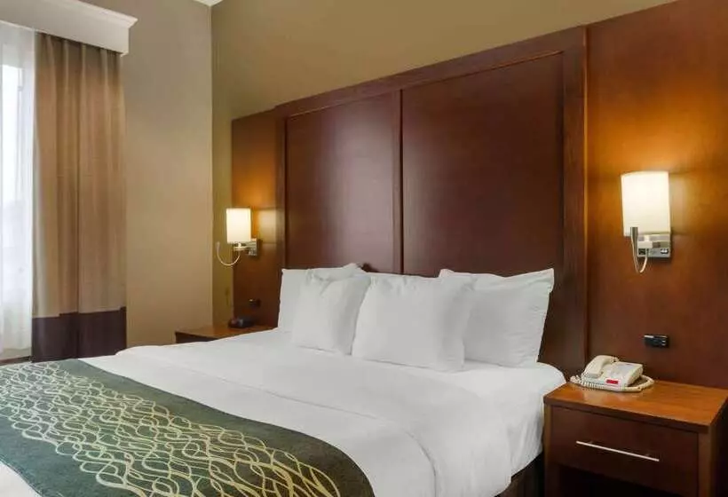 酒店 Comfort Inn & Suites
