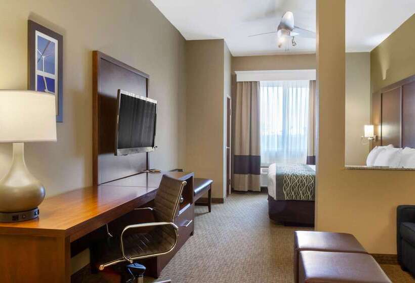 酒店 Comfort Inn & Suites
