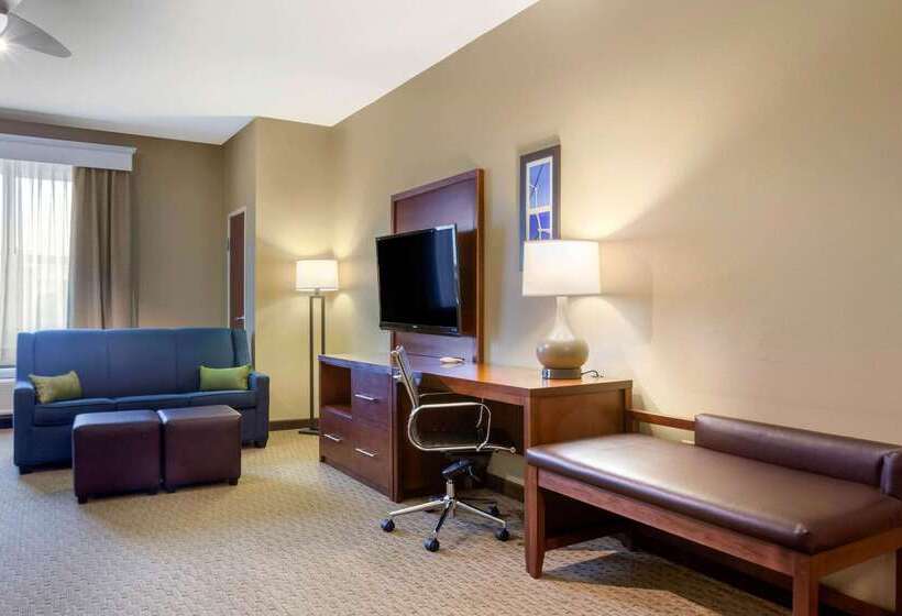 酒店 Comfort Inn & Suites