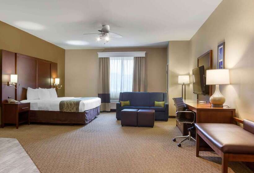 酒店 Comfort Inn & Suites