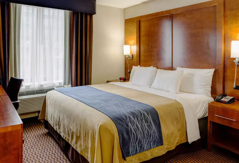 ホテル Comfort Inn Sunset Park Park Slope