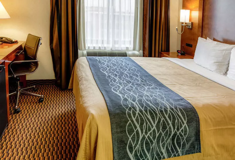 ホテル Comfort Inn Sunset Park Park Slope