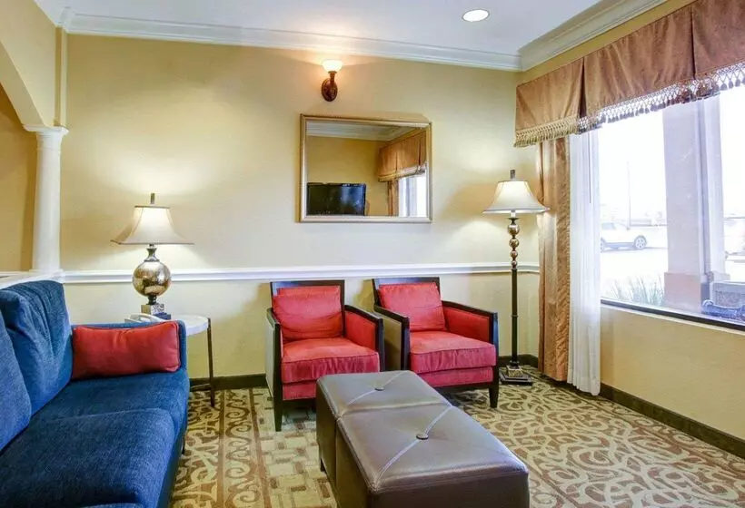 酒店 Comfort Suites