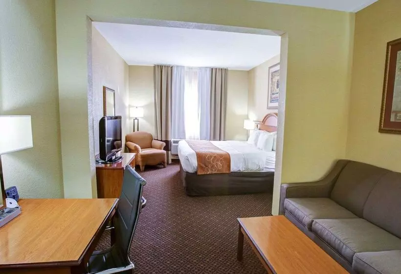 酒店 Comfort Suites