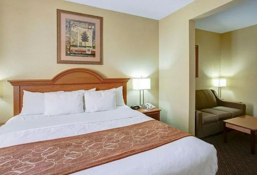 酒店 Comfort Suites