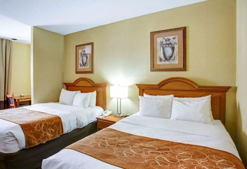 酒店 Comfort Suites