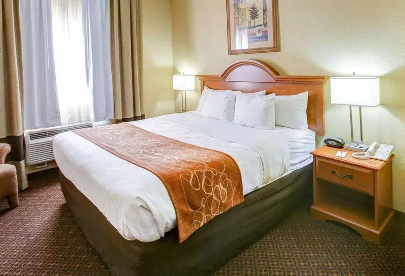 酒店 Comfort Suites