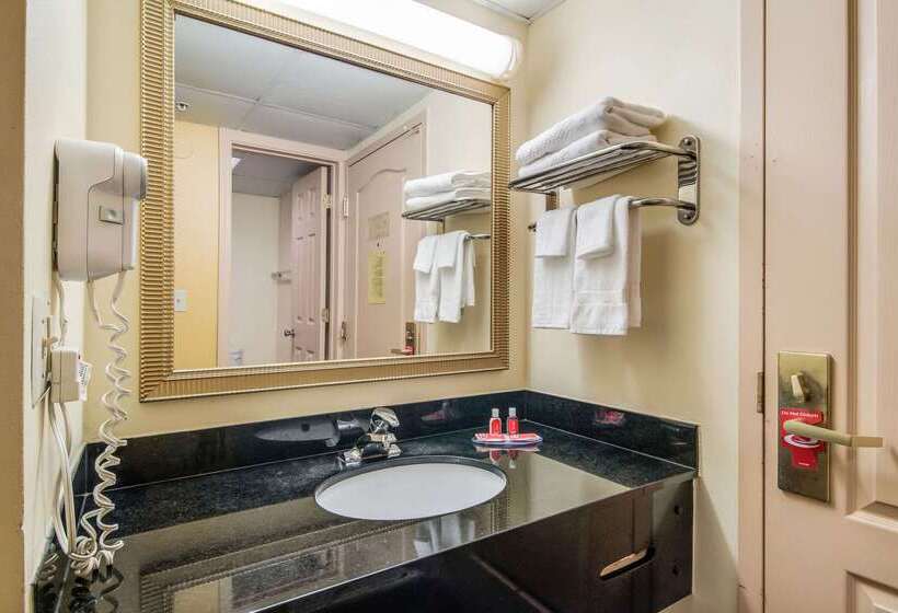 호텔 Econo Lodge At Six Flags