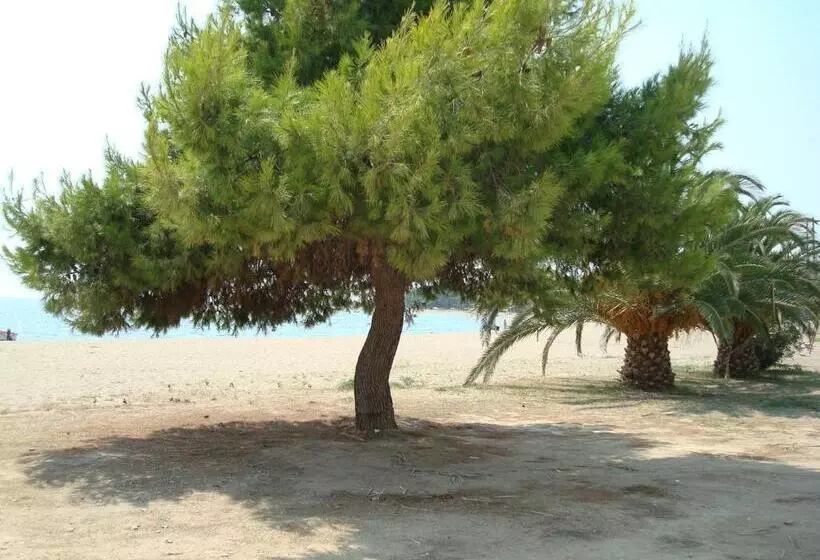 בית מלון כפרי Kalives Resort