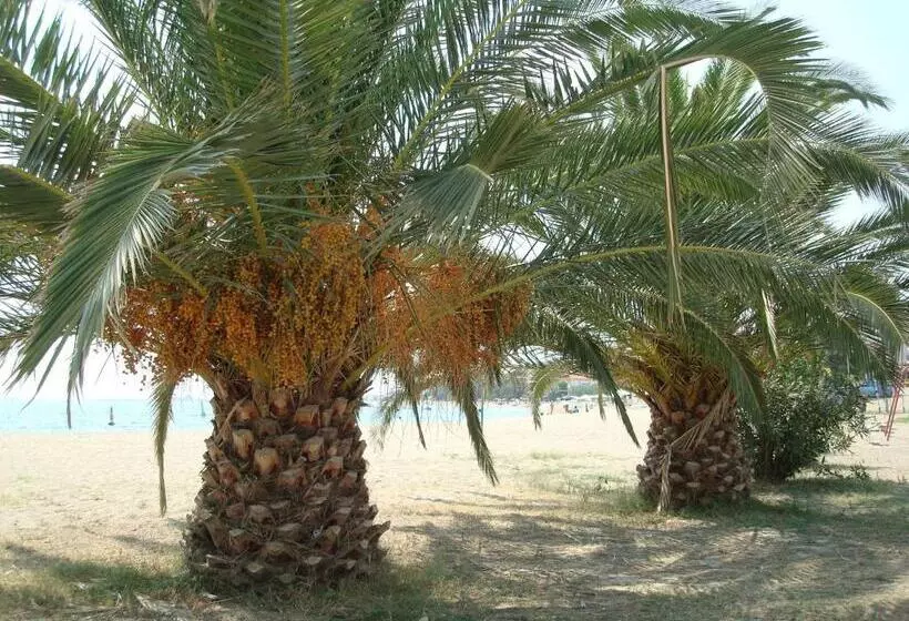 בית מלון כפרי Kalives Resort