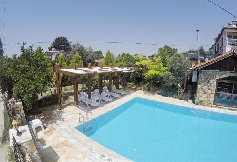 בית מלון כפרי Melrose House