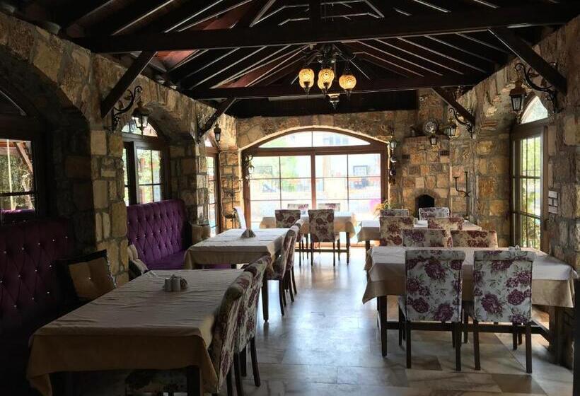 בית מלון כפרי Melrose House