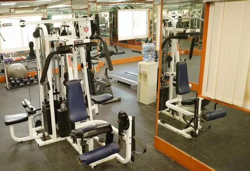 酒店 Safeer International