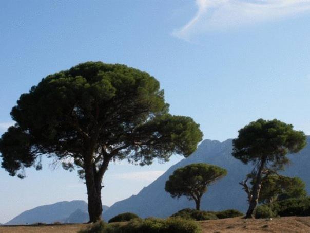 استراحتگاه Hemeransanatolia