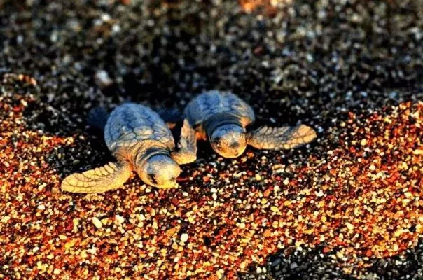 Resort Hemeransanatolia