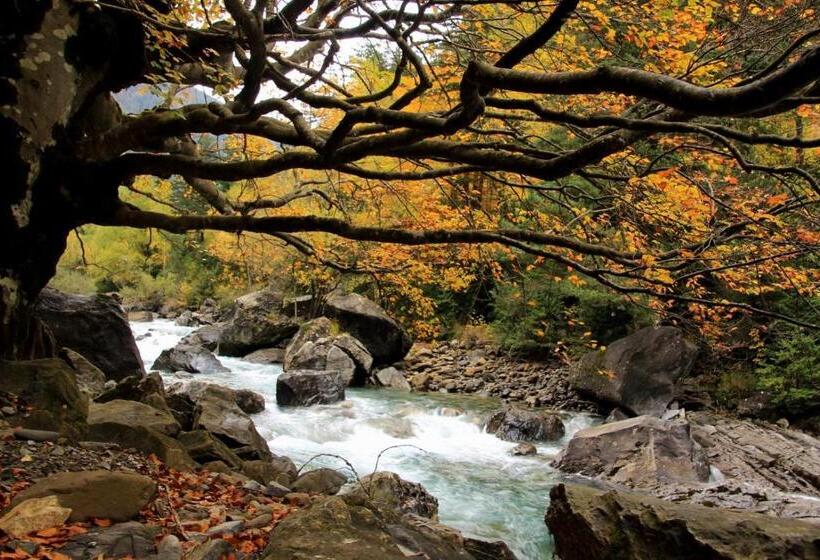 酒店 Bungalows Y Camping Viu