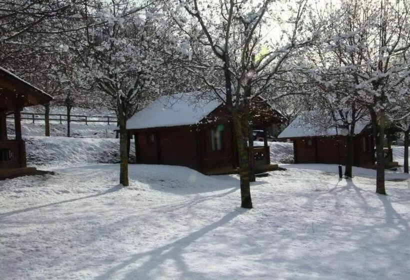 ホテル Bungalows Y Camping Viu