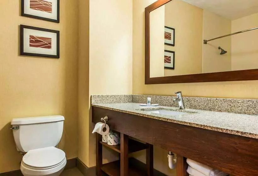 فندق Comfort Inn