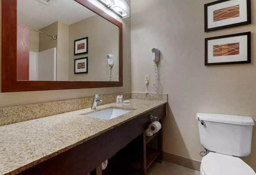 فندق Comfort Inn