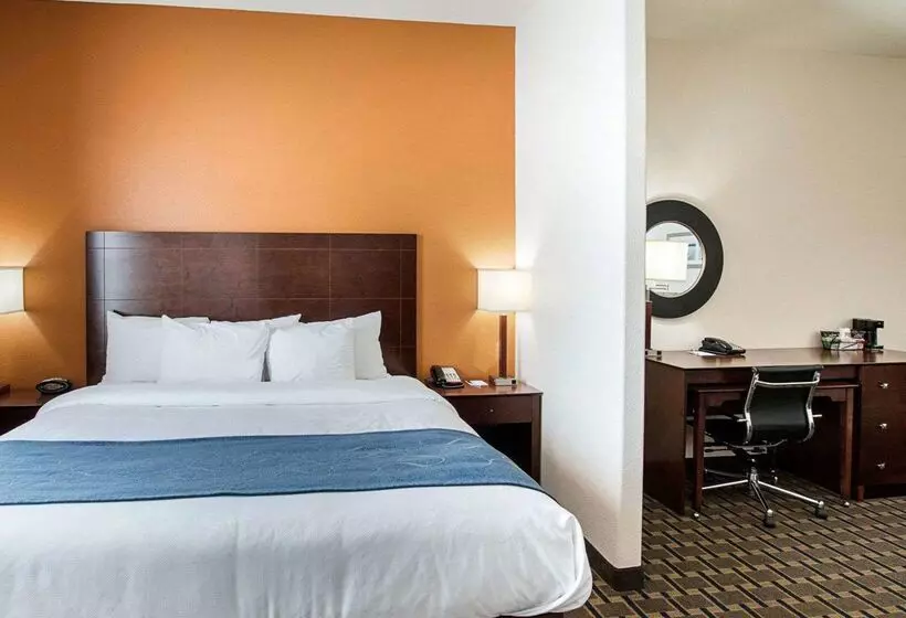 酒店 Comfort Suites Waxahachie Dallas