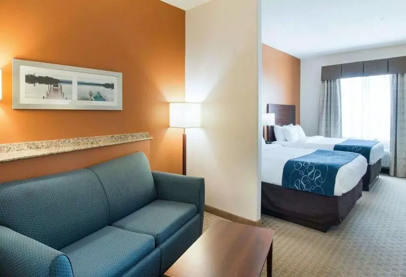 酒店 Comfort Suites Waxahachie Dallas