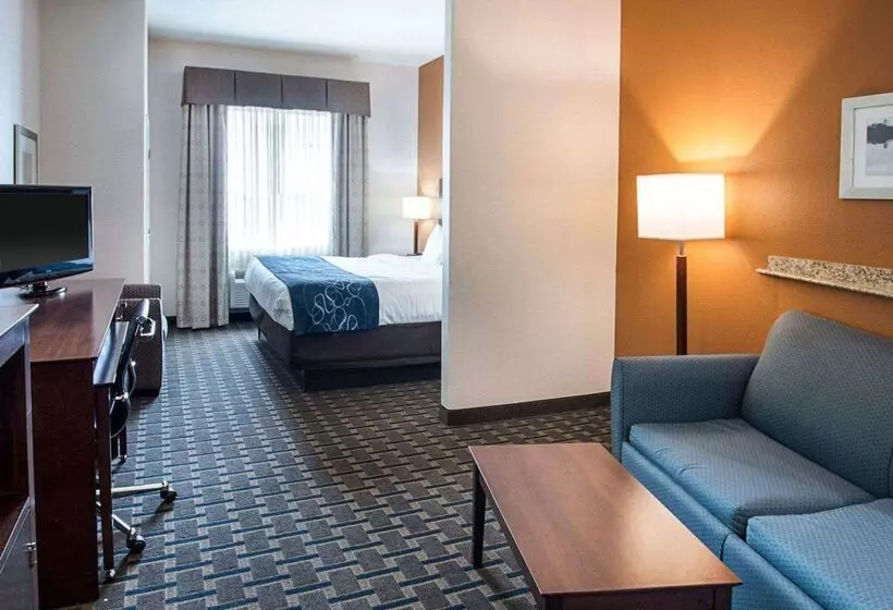 酒店 Comfort Suites Waxahachie Dallas
