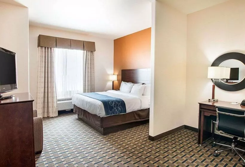 酒店 Comfort Suites Waxahachie Dallas
