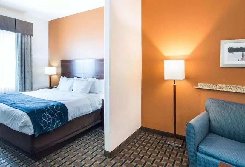 酒店 Comfort Suites Waxahachie Dallas