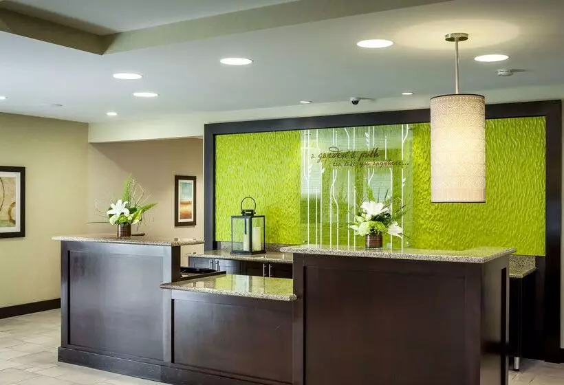 호텔 Hilton Garden Inn Eugene/springfield