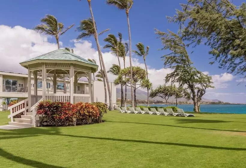 فندق Maui Beach