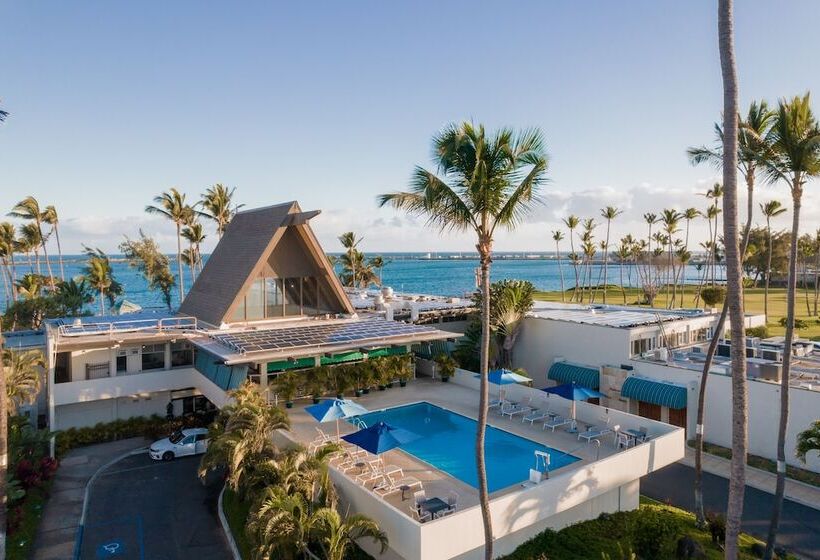 בית מלון כפרי Maui Beach