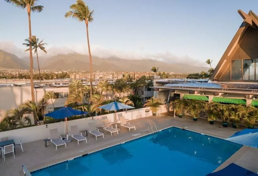 فندق Maui Beach