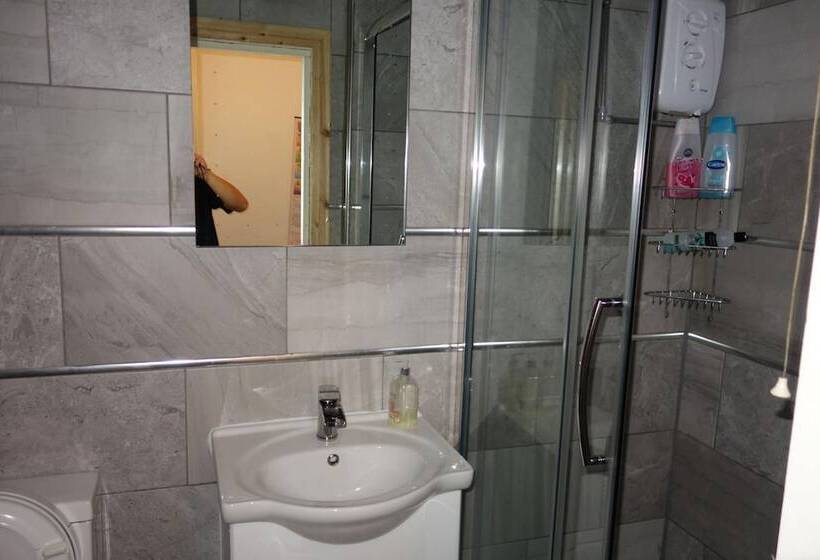 فندق OYO Swan Inn